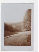 Delcampe - Wernigerode Am Harz - Waldwiese  - Foto-karte ( Sasken-Anhalt ) - Wernigerode