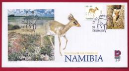 Delcampe - NAMIBIA, 1999, First Day Cover, Stamps, Fun Stamps For Children,  Michel 3-09, F3915 - Namibia (1990- ...)