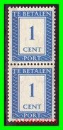 Netherlands  AÑO 1924, TE BETALEN  1 Cts. - Strafportzegels