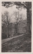 ENGLAND - CUMBRIA - GRASMERE - RYDAL CHURCH & DORA'S FIELD - Grasmere