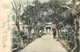 Pays Div- Ref H410-barbades -avenue To A Barbadian Residence  -postcard In Good Condition - Barbados