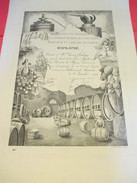 Diplôme/Conféd. Nat. Du Commerce En Gros Des Vins Cidres Spiritueux Et Liqueurs De France/LELONG/Cusenier/1962 DIP188 - Diplomas Y Calificaciones Escolares