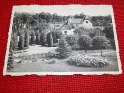 SIJSELE  -  Sanatorium Elisabeth  - Huis Van De Dokter  - Maison Du Docteur - Damme