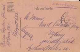 55948- WW1 WAR FIELD POSTCARD, CENSORED INFANTRY BATTALION 1/63, POST OFFICE NR 223, 1917, HUNGARY - Lettres & Documents