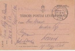 55962- WW1 WAR FIELD POSTCARD, CENSORED INFANTRY BATTALION 1/63, POST OFFICE NR 294, 1916, HUNGARY - Covers & Documents