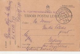 55966- WW1 WAR FIELD POSTCARD, CENSORED INFANTRY BATTALION 1/63, POST OFFICE NR 294, 1917, HUNGARY - Briefe U. Dokumente