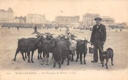 Malo Les Bains    59         Troupeau De Chèvres Sur La Plage      (voir Scan) - Malo Les Bains