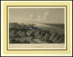 RHEINECK/KANTON ST. GALLEN, Gesamtansicht, Stahlstich Von Lange/Lang Um 1840 - Lithographies