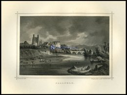 SAALFELD, Gesamtansicht übers Wasser Gesehen, Mit Tieren Im Vordergrund,Stahlstich Von Rohbock/Kolb Um 1850 - Lithographies