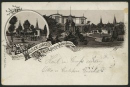 DEUTSCHLAND ETC. HEIDE In Holstein, Eine Farbige Lithografie Von 1896, Pracht - Covers & Documents