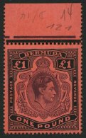 BERMUDA-INSELN 116a **, 1938, 1 £ Schwarz/purpur Auf Rot, Gezähnt 14 (SG 121), Postfrisch, Pracht - Bermuda
