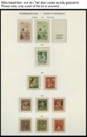 SAMMLUNGEN *,** , 1913-1963, Pro Juventute, Ungebraucht, Teils Postfrisch Gesammelt, Bis Auf Block 6 Komplett Im Biella - Collections