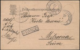 FELDPOST 1907, K2 K. Und K. FELDPOST-EXPOSITUR/PLEVIJE Auf österreich-ungarischer Feldpost-Vordruckkarte Aus Dem Sa - Sonstige & Ohne Zuordnung