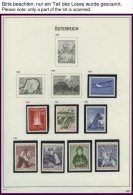 SAMMLUNGEN **, Komplette Postfrische Sammlung Österreich Von 1961-83, Prachterhaltung, Mi. 390.- - Sammlungen