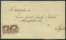 STERREICH 14II Paar BRIEF, 1860, 10 Kr. Braun, Type II, Im Waagerechten Paar Mit Ausgelassenen Zähnungslöchern - Used Stamps