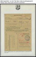 LOTS 1955/6, Sammlung Von 17 Verschiedenen Gebührenfreien DRK-Suchdienstkarten An Das Rote Kreuz In Heide, Pracht - Other & Unclassified