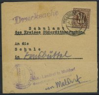 AMERIK. U. BRITISCHE ZONE 6 BRIEF, 1946, 10 Pf. Dunkelorangebraun, Einzelfrankatur Auf Drucksache Des Kreisschulamtes Au - Autres & Non Classés