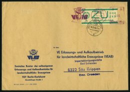 DIENSTMARKEN E E 1 BRIEF, 1965, 65 Pf. Bläulichgrün Auf Brief Aus BERLIN-KARLSHORST, Feinst (Marke Kleiner Ein - Other & Unclassified