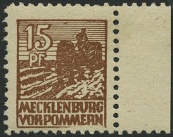 MECKLENBURG-VORPOMMERN 37ydIII **, 1946, 15 Pf. Mittelsiena, Graues Papier, Plattenfehler III, üblich Gezähnt - Other & Unclassified