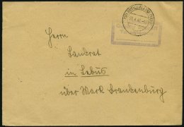 ALL. BES. GEBÜHR BEZAHLT GOTTLEUBA (KR PIRNA), 09.4.46, Violetter R2 Gebühr Bezahlt/ Taxe Percue, Brief Feinst - Sonstige & Ohne Zuordnung