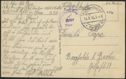 DT. FP IM BALTIKUM 1914/18 K.D. FELDPOSTSTATION NR. 213 * A, 14.9.16, Auf Ansichtskarte (Mitau-Katholische Straße) - Lettland