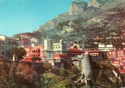 Delcampe - - MONACO. -  Le Palais Du Prince - La Tête De Chien - - Fürstenpalast