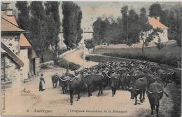 CPA Auvergne Métier Type Non Circulé - Auvergne