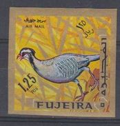 Fujeira. 1969.  Arabian Partridge    Alectoris Melanocephala - Pernice, Quaglie