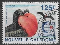 Nouvelle-Calédonie Oblitérér, No: 698, Coté 2,30 Euros, Y & T, USED - Oblitérés