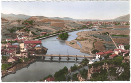 Behobie - La Bidassoa - Le Pont International - L'Ile Des Faisans Et Béhobia - Carte Photo Colorisée - Béhobie