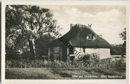 Vitte Auf Hiddensee - Bauernhaus - Foto-Ansichtskarte - Hiddensee