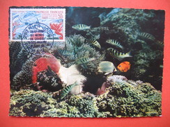 Papeete PA  YT N°14 CARTE MAXIMUM 50f. CARD PREMIER JOUR PAPEETE 1 /9/1965 Championnat Du Monde De Chasse Sous Marine - Cartoline Maximum
