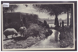 Delcampe - IRAQ - BAGHDAD - MOON LIGHT - TB - Irak