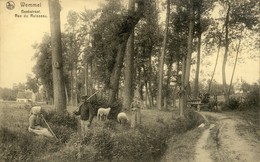 Wemmel - Beekstraat - Rue Du Ruisseau - Wemmel