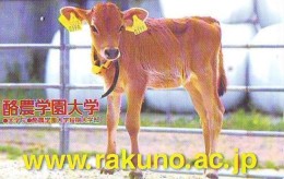 Carte Prépayée Japon * VACHE (683) COW * KOE * BULL * TAUREAU * KUH * CARD JAPAN * KARTE  VACA* TAURUS * - Koeien