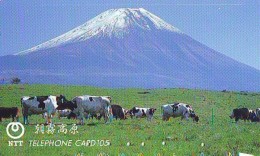 Télécarte JAPON * 291-109 * VACHE (695) COW * KOE * BULL * TAUREAU * KUH * PHONECARD JAPAN * TELEFONKARTE * VACA TAURUS - Vaches