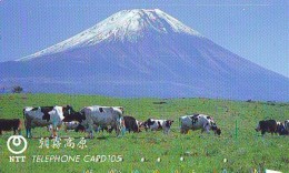 Télécarte JAPON * 291-109 * VACHE (695) COW * KOE * BULL * TAUREAU * KUH * PHONECARD JAPAN * TELEFONKARTE * VACA TAURUS - Vacas