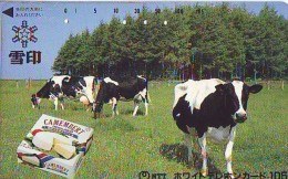 Delcampe - Télécarte JAPON * CAMEMBERT * VACHE (701) COW * KOE * BULL * TAUREAU * KUH * PHONECARD JAPAN * TK * VACA TAURUS - Kühe