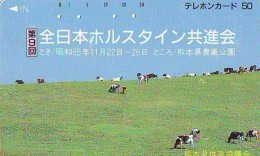Delcampe - Télécarte JAPON * 390-1178 * VACHE (704)  COW * KOE * BULL * TAUREAU * KUH * PHONECARD JAPAN * TK * VACA TAURUS - Kühe