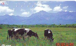 Télécarte JAPON *  * VACHE (708)  COW * KOE * BULL * TAUREAU * KUH * PHONECARD JAPAN * TK * VACA TAURUS - Vaches