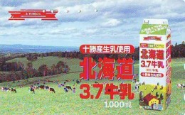 Télécarte JAPON *  * VACHE (709)  COW * KOE * BULL * TAUREAU * KUH * PHONECARD JAPAN * TK * VACA TAURUS - Vacas