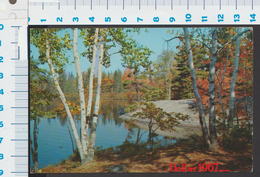 Canada Ontario Muskoka LakeOntarid  - Used  1963  -  See The 2  Scans For Condition. ( Originalscan !!! ) - Muskoka