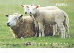 CARTE PREPAYEE JAPON * MOUTON * TK * SCHAF (360) SHEEP SCHAAP  GOAT STEENBOK * Phonecard - Zodiaque