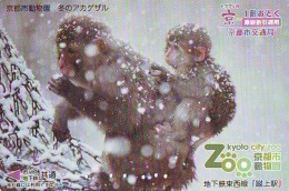 Carte Prépayée Japon * SINGE * TK  AFFE (776) MONKEY * CARD - Zodiaque