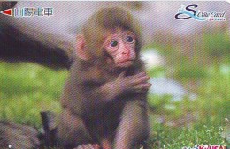 Carte Prépayée Japon * SINGE * TK  AFFE (778) MONKEY * CARD - Zodiaque