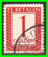 NETHERLANDS/SELLOS DE FRANQUEO INSUFICIENTE/ 1 GULDEN ( FLORIN ) . NUMERAL STAMPS - INSCRIPTION "TE BETALEN - CENT PORT" - Postage Due