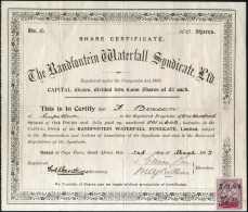 "The Randfontein Waterfall Syndicate Ltd.", Gef. Original-Aktie, Re. Unten Steuermarke. - Sonstige & Ohne Zuordnung