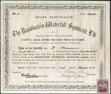 "The Randfontein Waterfall Syndicate Ltd.", Gef. Original-Aktie, Re. Unten Steuermarke. - Other & Unclassified