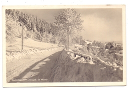 0-9333 DEUTSCHNEUDORF, Strassenpartie Im Winter - Deutschneudorf