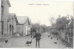 Delcampe - SAVENAY --La Gaissiere - Basse-cour - Savenay